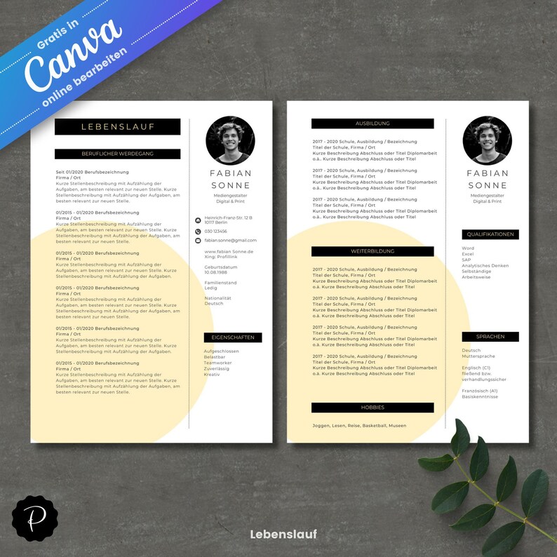 Canva Application Template, German CV Template, Modern CV, Cover Letter ...