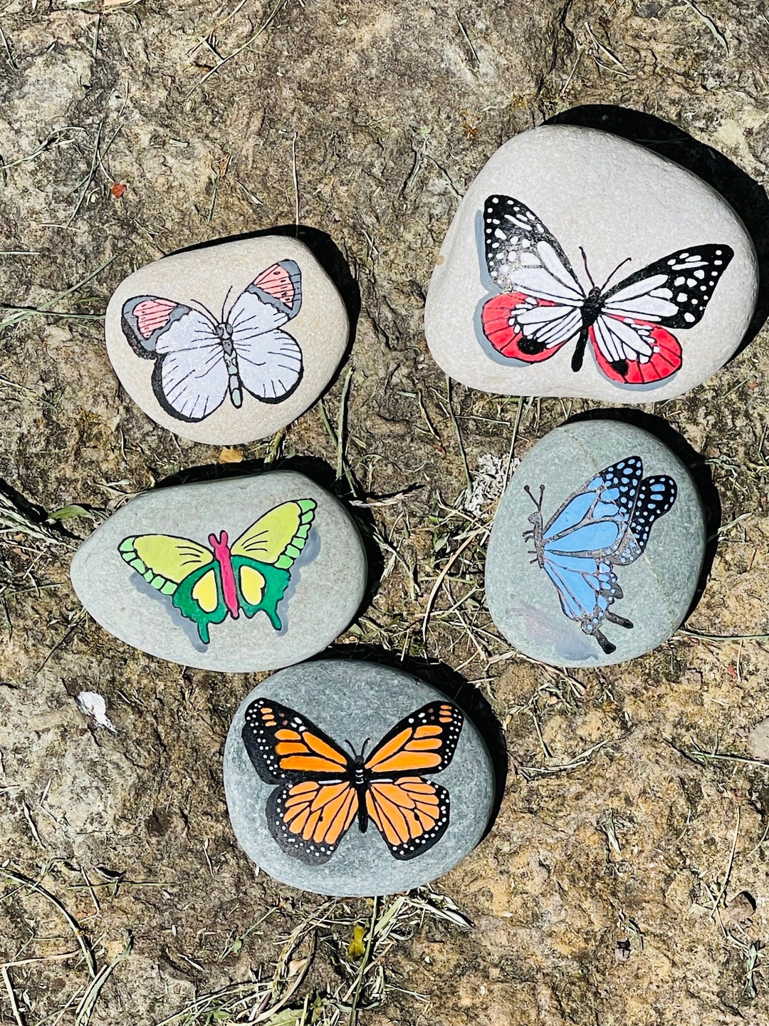 Butterfly Painted Rock SEALED Garden Decor Garden Rocks 7 10 - Etsy