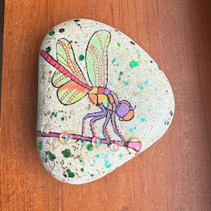 Dragonfly painted rock SEALED morning dew drops 3D