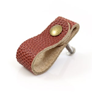 May include: A brown leather cabinet pull with a textured surface and a brass screw. The pull is shaped like a loop and has a small brass button on the top.