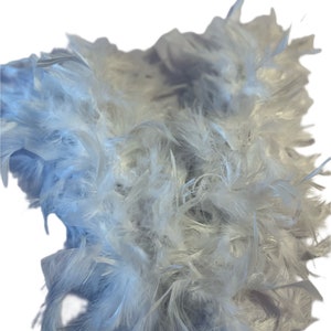 May include: A bunch of white feathers, ideal for crafting or decorating.