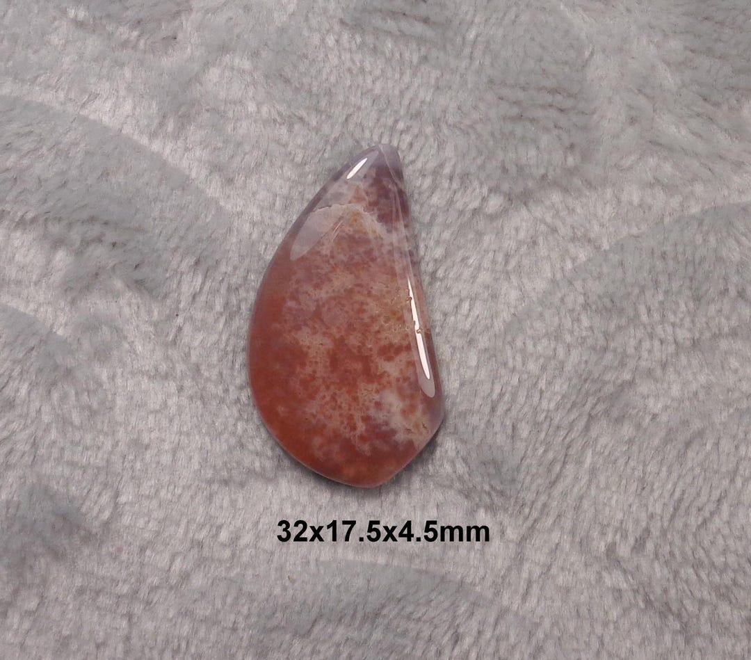 Shell Backed Fossilized Agatized Snail Shell Backed With Nevada Black Jade Cabochon ...