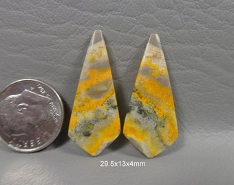 Bumble Bee Jasper Matched Pair of Cabochons