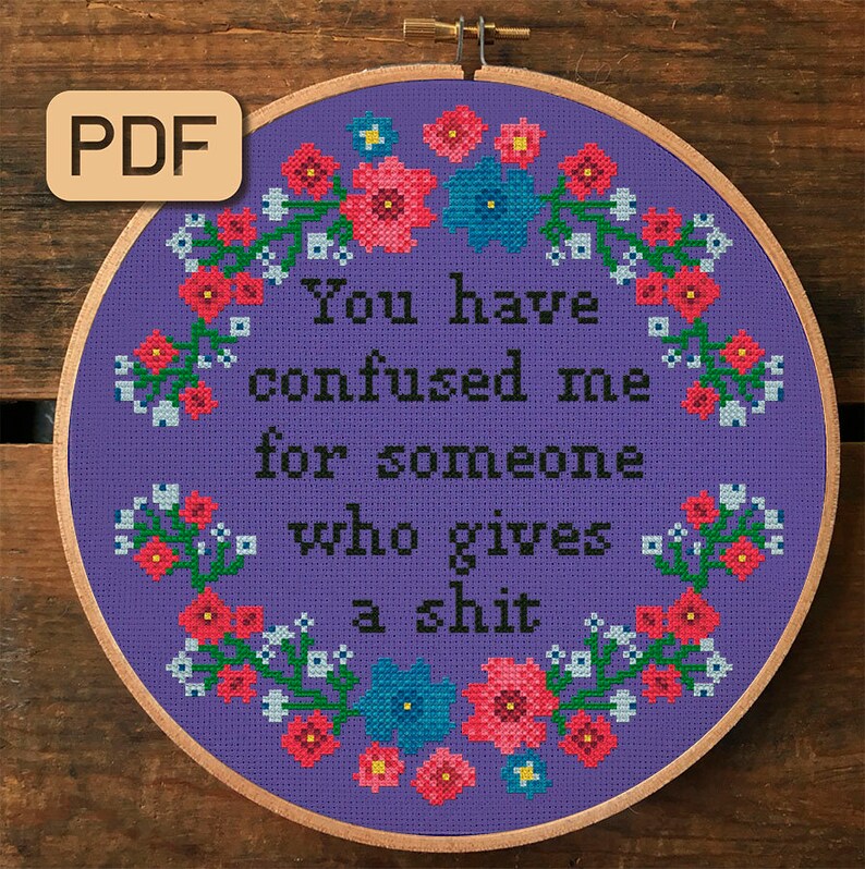 You Have Confused Me For Someone Who Gives A Shit Cross Stitch Pattern PDF