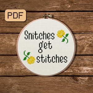 Snitches Get Stitches Cross Stitch Pattern Funny Cross Stitch PDF Snarky Embroidery Design Instant Download