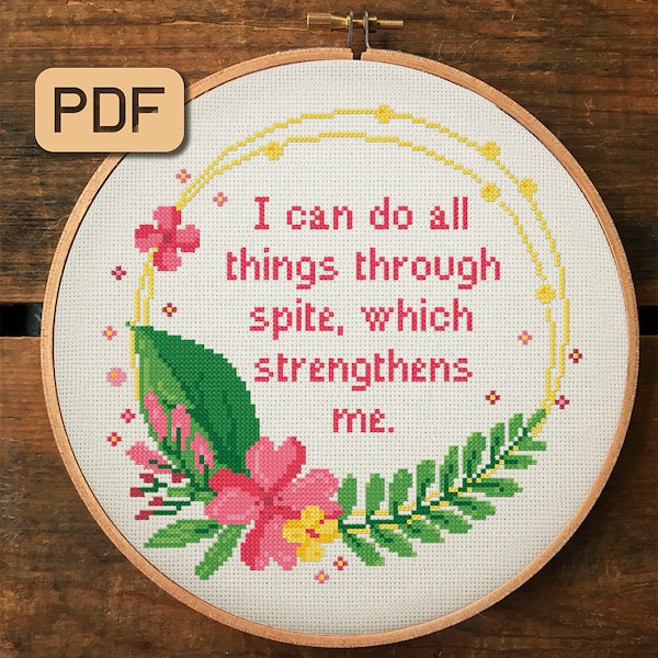 Cross Stitch Pattern, I Can Do All Things Through Spite Which Strengthens Me, Snarky Cross Stitch PDF