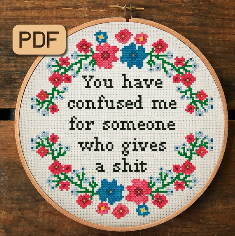 You Have Confused Me For Someone Who Gives A Shit Cross Stitch Pattern PDF