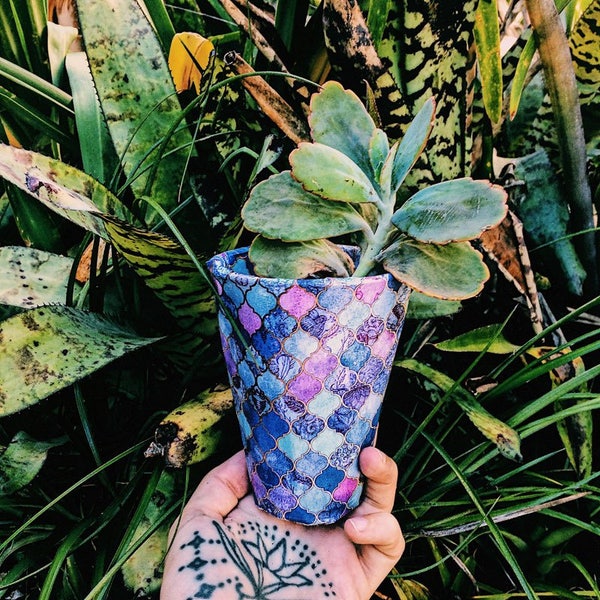 Stained Glass Indoor Paper Pot Plant