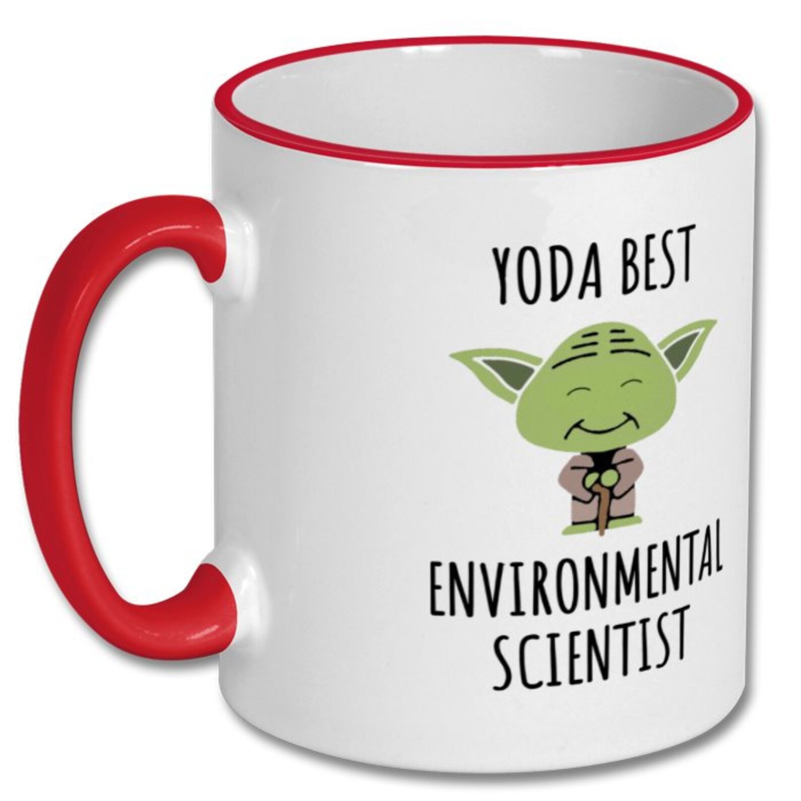 ENVIRONMENTAL SCIENTIST GIFT Environmental Scientist Mug Mug Etsy