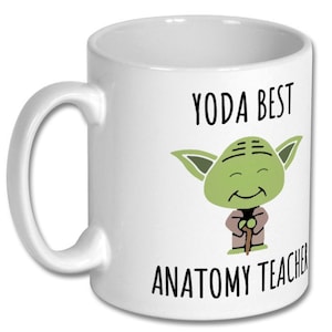 BEST ANATOMY TEACHER mug, anatomy teacher,anatomy teacher gift,anatomy teachers