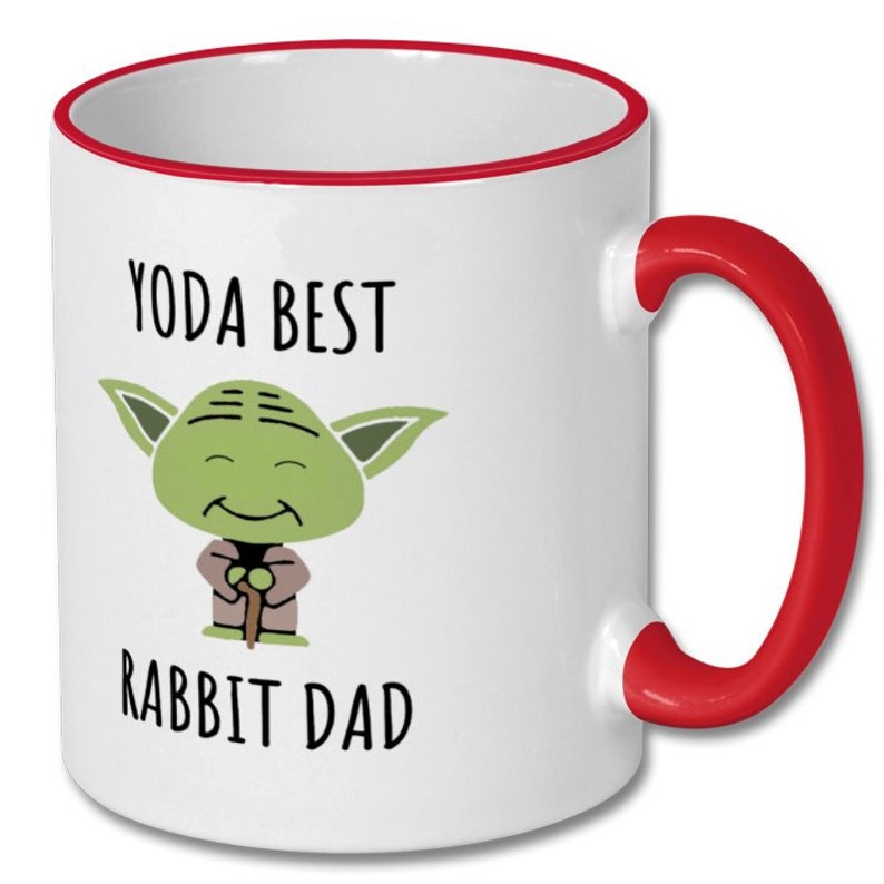 BEST RABBIT DAD Mug, Rabbit Dad, Rabbit Dad Mug, Rabbit Dad Gift ...