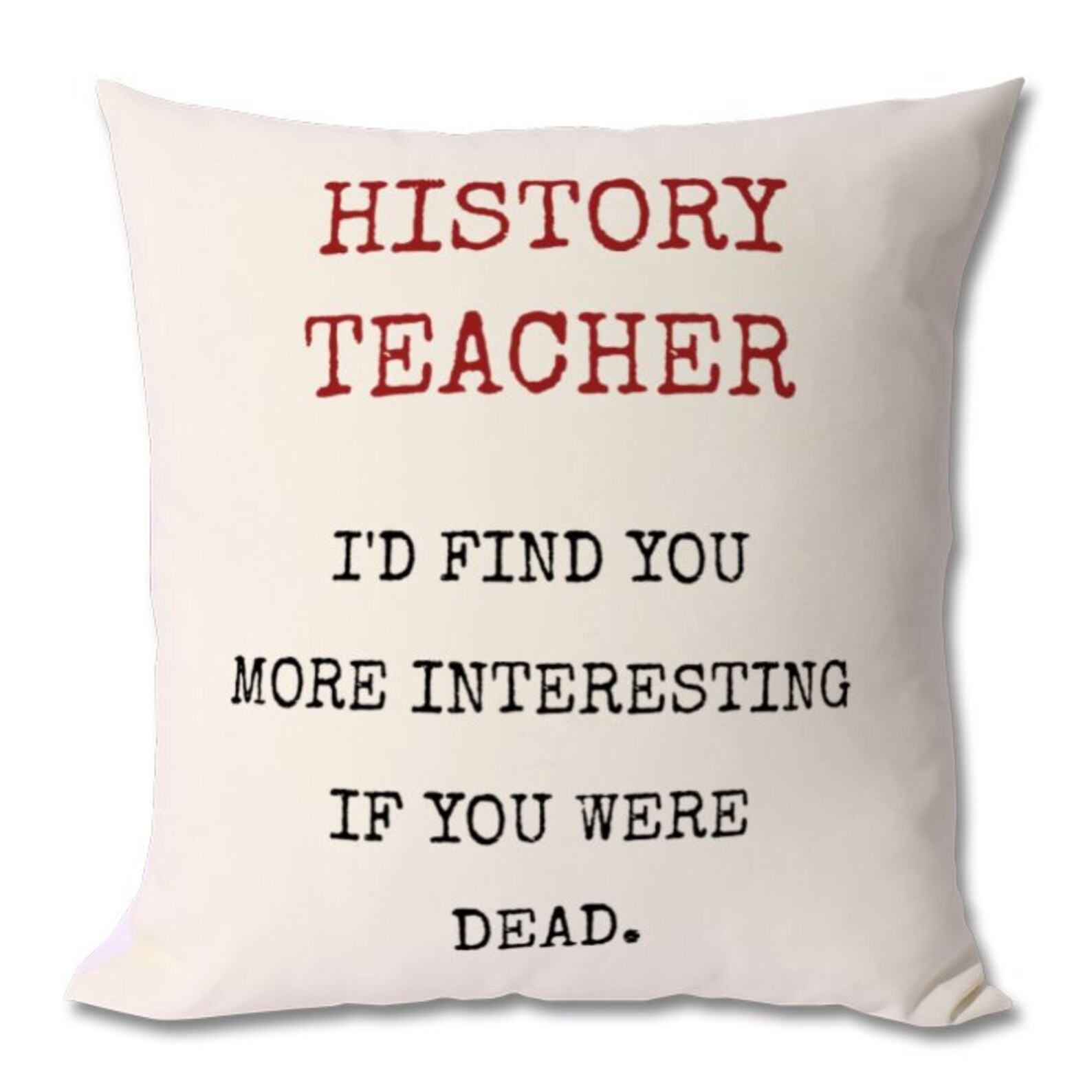 HISTORY TEACHER GIFT history teacher cushion gift for Etsy
