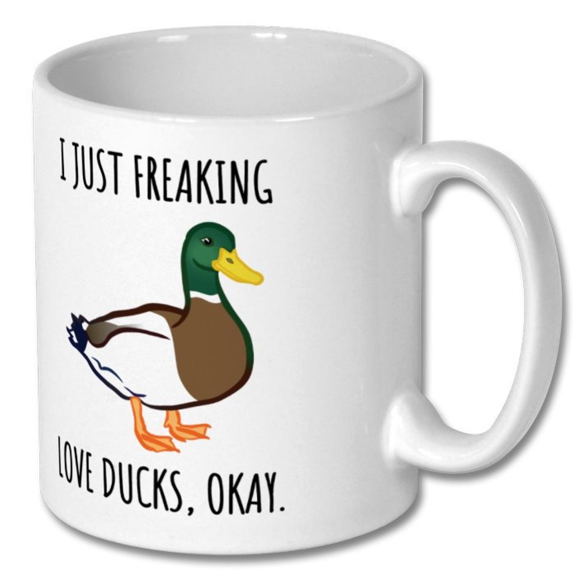 DUCK LOVER GIFT Duck Lover Gift Duck Lover Mug Duck Lover Etsy