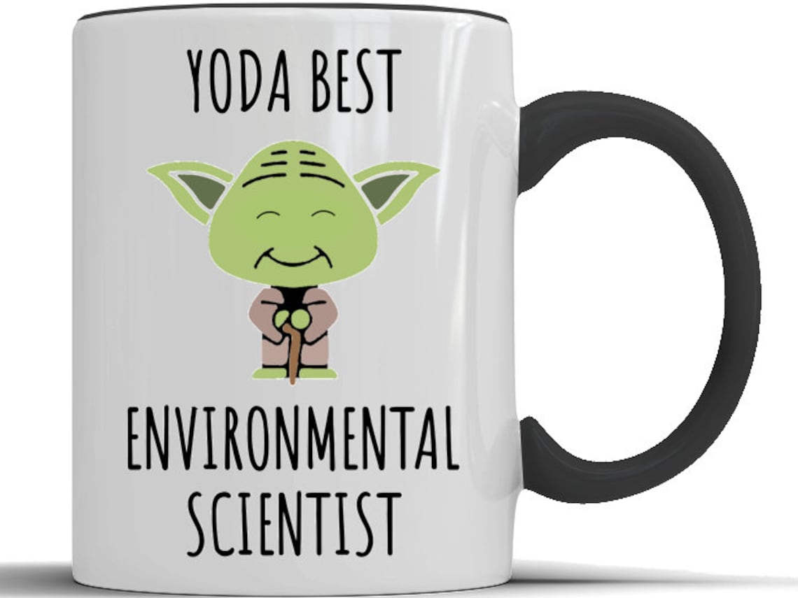 ENVIRONMENTAL SCIENTIST GIFT Environmental Scientist Mug Mug Etsy