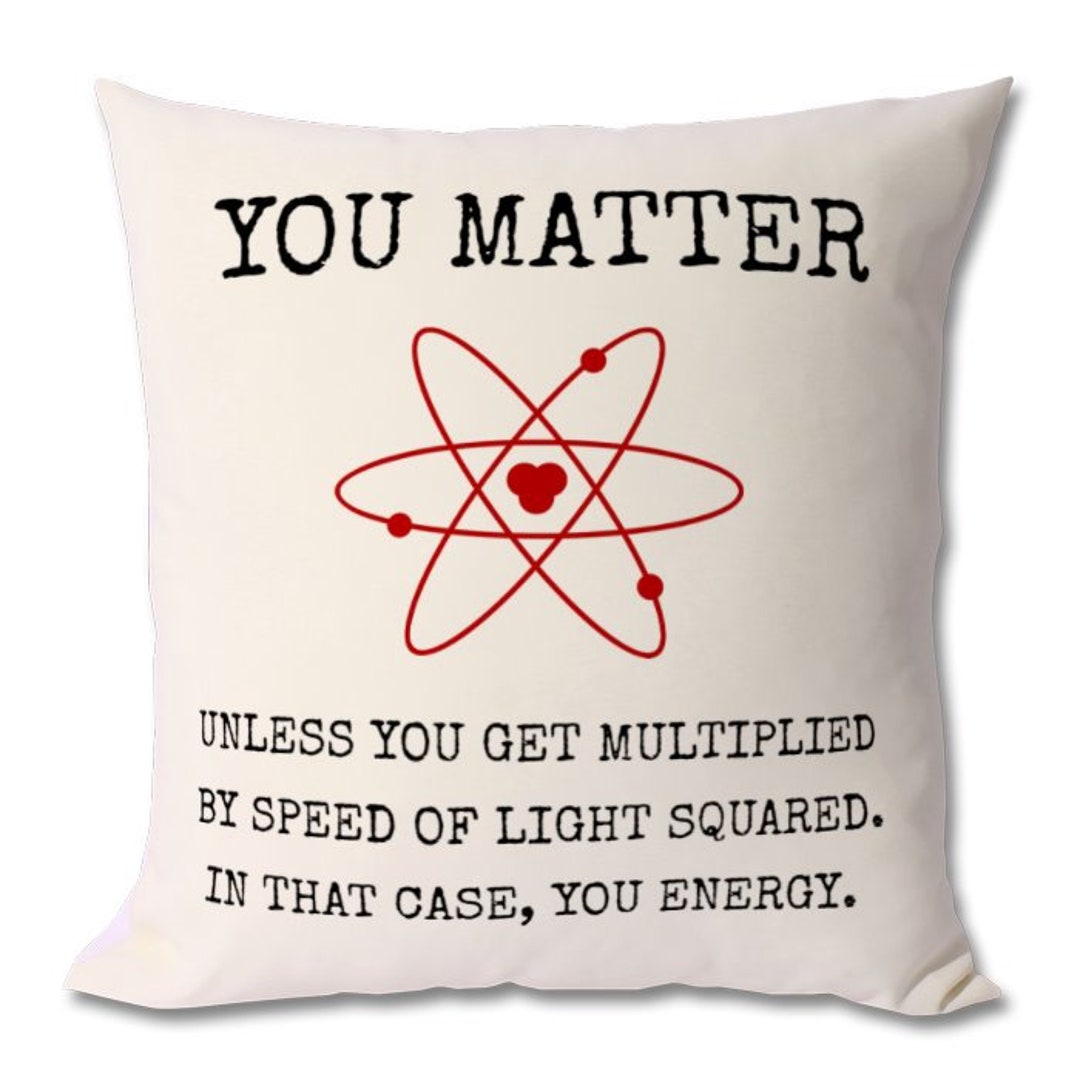 PHYSICS FUNNY Cushion Physics Student Physics Graduate Etsy UK