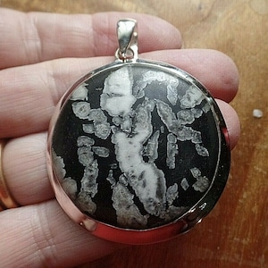 Huge Most Exotic Sterling Silver and Chrysanthemum Stone Pendant 26.5g Flower Stone