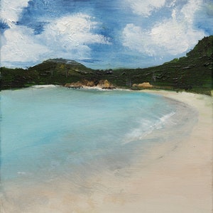 Saltpond Bay Beach St John USVI