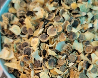 Hollyhock Surprise Mix Seeds. Get them while they last !!