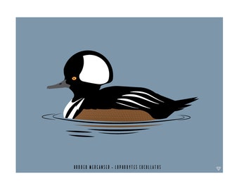 Hooded Merganser