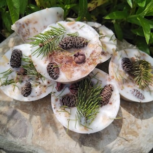 May include: White, round, handmade soaps with pine needles and small pine cones embedded in the surface. The soaps are arranged on a gray stone surface, with green foliage in the background. The soaps have a natural, rustic appearance.