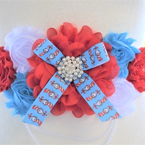 Seuss Maternity Sash - Etsy display picture 1