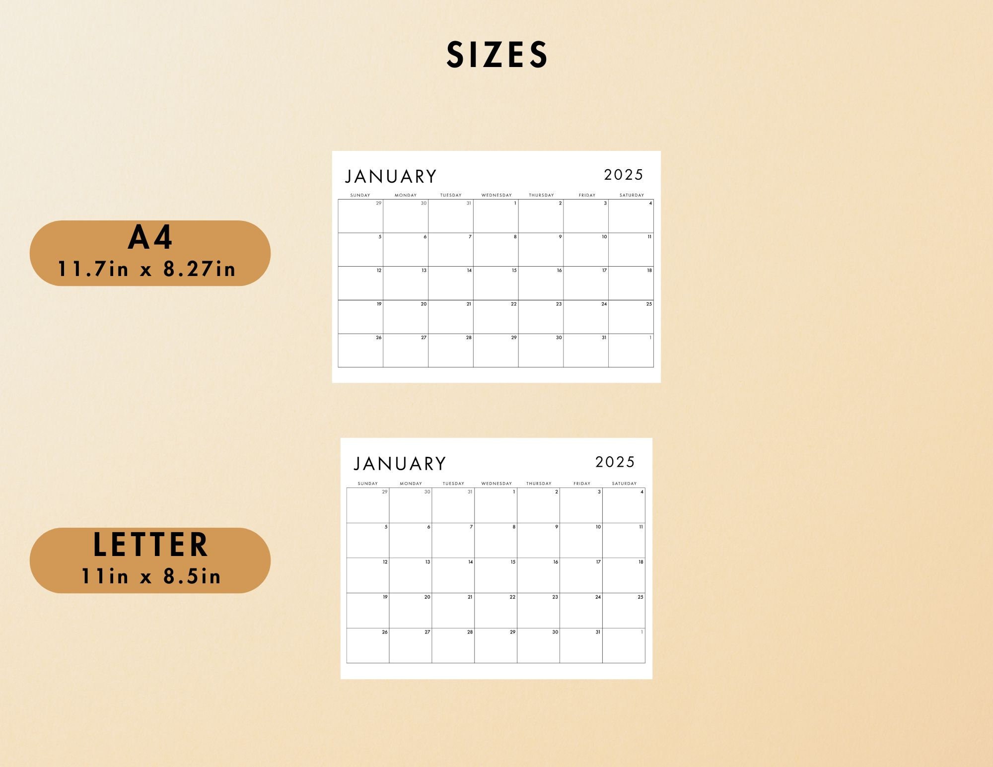 2025 Monthly Calendar, Horizontal, Minimal Fill in Calendar, Modern