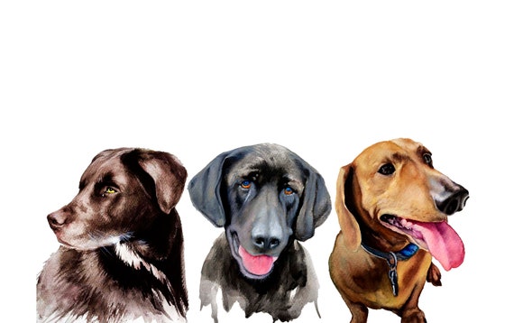 Custom Three Pets Portrait Custom Three Dogs Portrait Triple Etsy Custom Three Pets Portrait Custom Three Dogs Portrait Triple Etsy