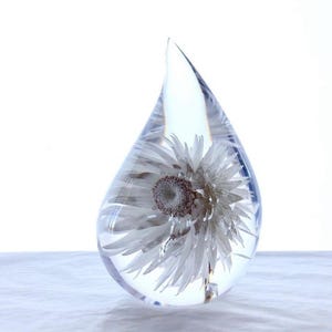 May include: A white flower preserved in a clear teardrop-shaped glass vase.