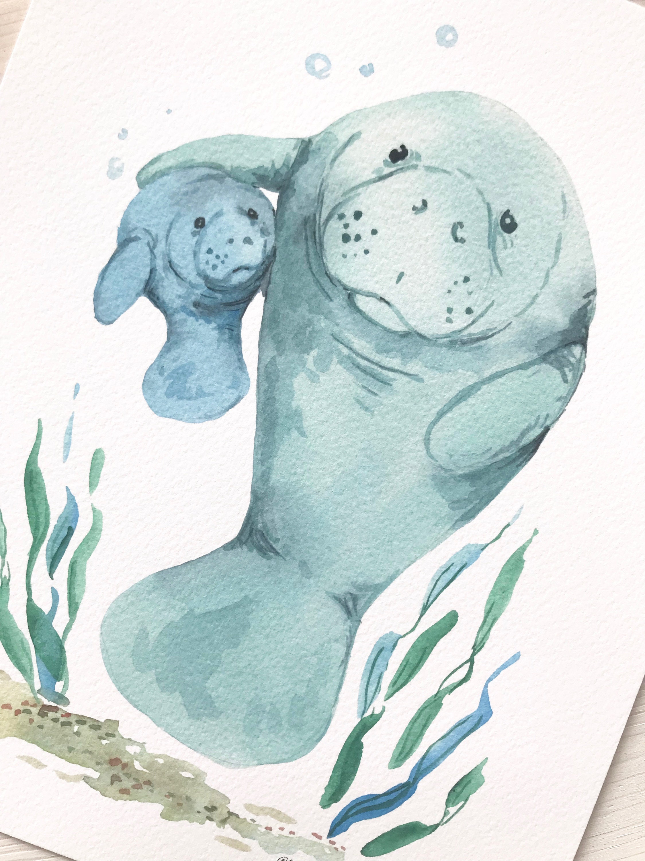 Mama and Baby Manatee Watercolor Fine Art Print Manatee | Etsy