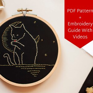 Space Dinosaur Pattern ricamo modello di dinosauro, Dino Astronauta File PDF stampabile con guida ai punti e video, DIY Outer Space Decor.
