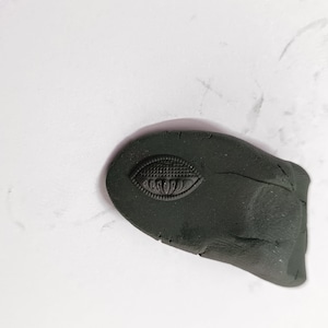 May include: A dark gray, irregularly shaped piece of clay with a raised, detailed eye design.