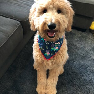 Dog bandana blue flowers