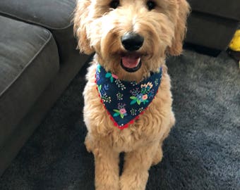 Dog bandana blue flowers