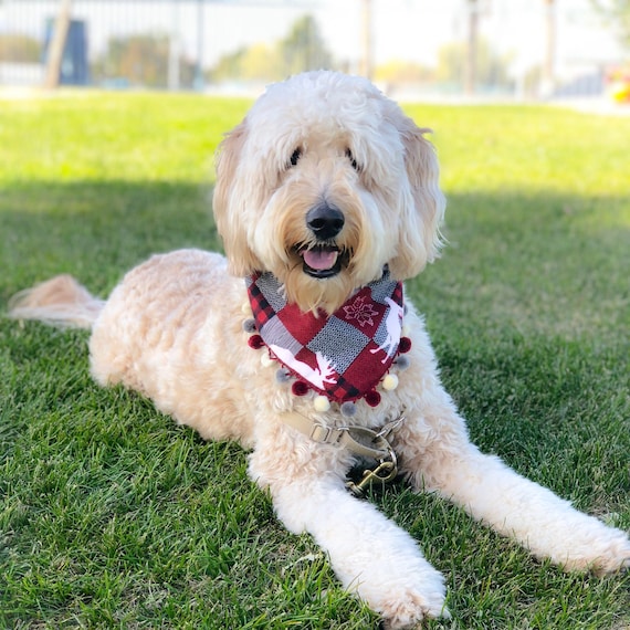 Patchwork Moose Dog Bandana