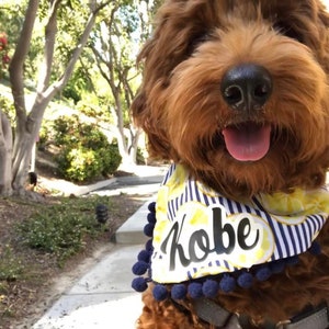 Lemonade Dog Bandana