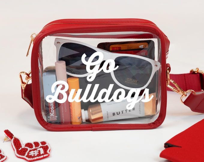 Personalized Clear Stadium Bag, Custom Clear Crossbody Purse, Concert Bag With Strap, Game Day Clear Bag, Custom Name Stadium Purse Gift Bag