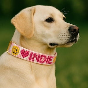 Custom Name Dog Collar, Personalized Seed Bead Collar, Custom Beaded Dog Collar, Personalized Beaded Dog Collar, Dog Collar With Custom Name