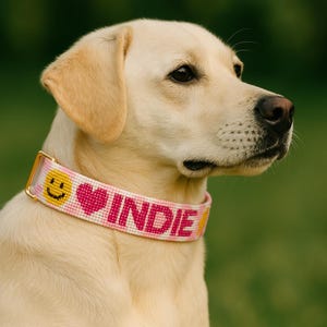 Custom Dog Collar, Dog Collar Personalized, Dog Collar Girl, Dog Collars Boy, Dog Collars Personalized With Name, Customizable Puppy Collars