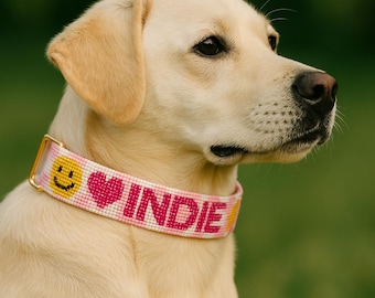 Anpassat hundhalsband, Personligt hundhalsband, Hundhalsband Flicka, Hundhalsband Pojke, Hundhalsband Personliga Med Namn, Anpassningsbara Valphalsband