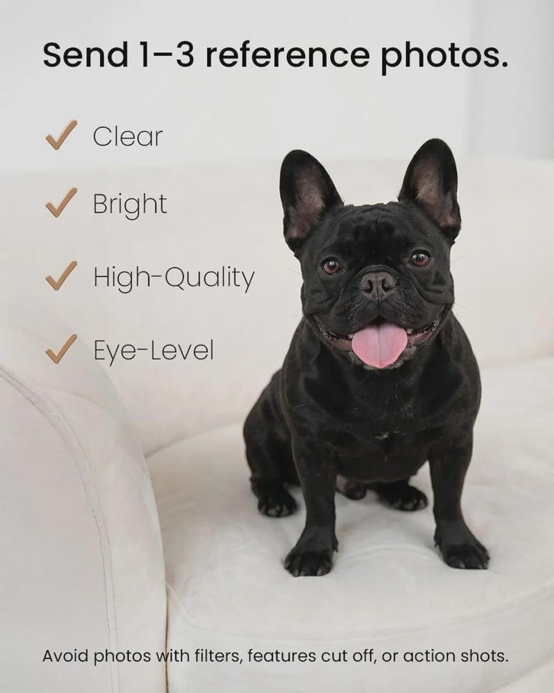 a black dog sitting on a white couch, with a list of criteria for what makes a photo "good" or "high-quality".