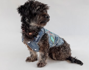 May include: A black and brown Schnauzer mix dog wearing a blue denim jacket with patches and the name "Molly" embroidered on it.