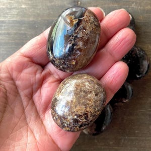 May include: Two smooth, oval-shaped, polished stones. One is black with brown and gold flecks, the other is brown with gold flecks.