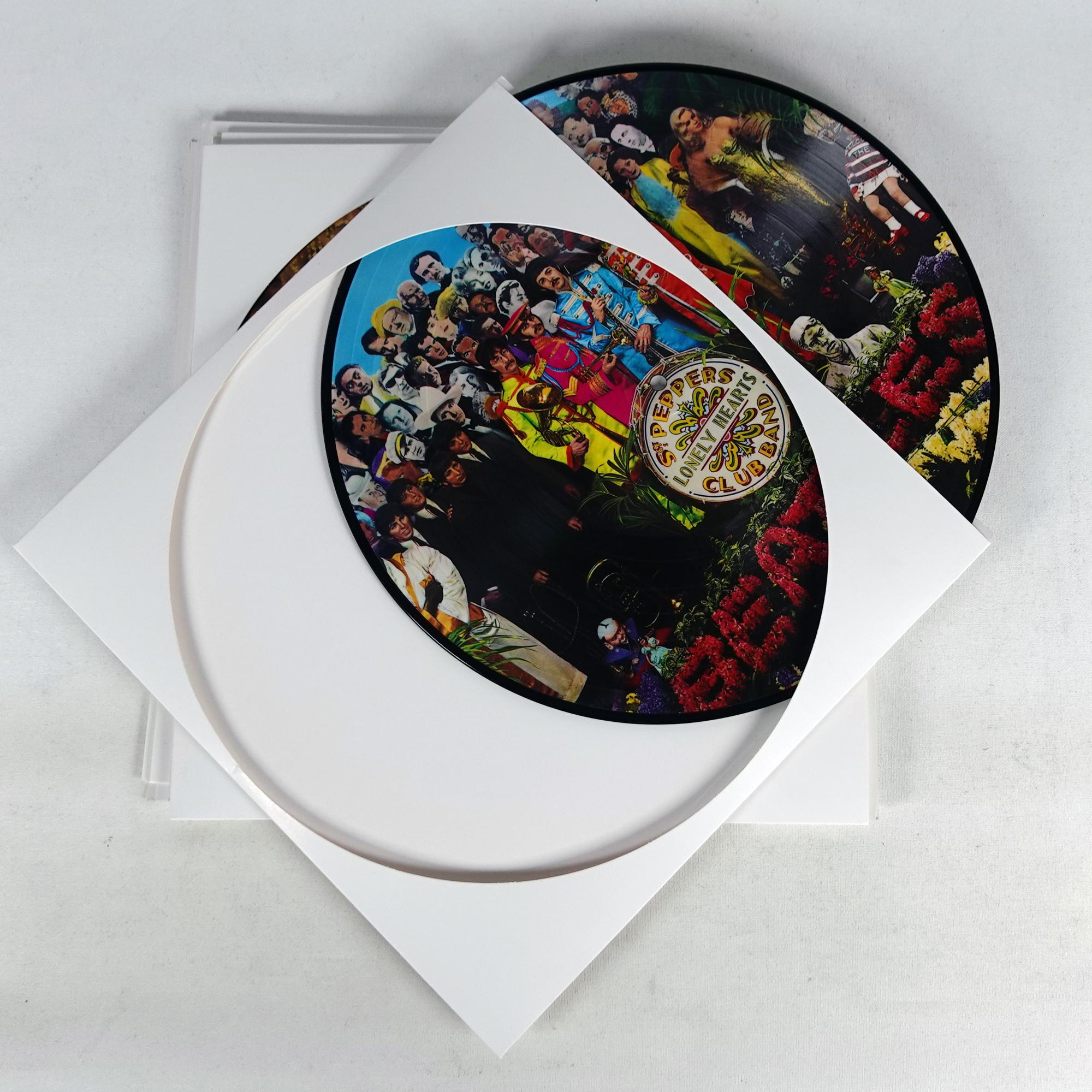 ピクチャーディスクビニールレコード用スリーブカバー 10 個