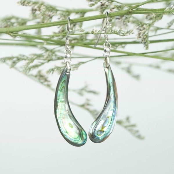 Teardrop abalone Earring with Silver Hook,Paua earrings, Dangle Earrings Silver, Seashell Jewelry, Abalone Earrings, Gift for her
