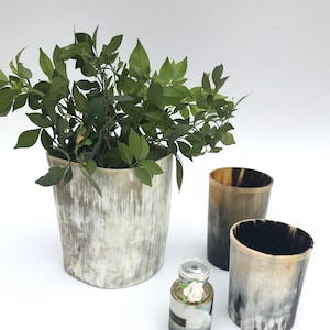 May include: Three horn cups, one large and two smaller, with a small bottle of perfume and a green plant in the large cup. The cups are made of natural horn and have a mottled brown and white pattern.