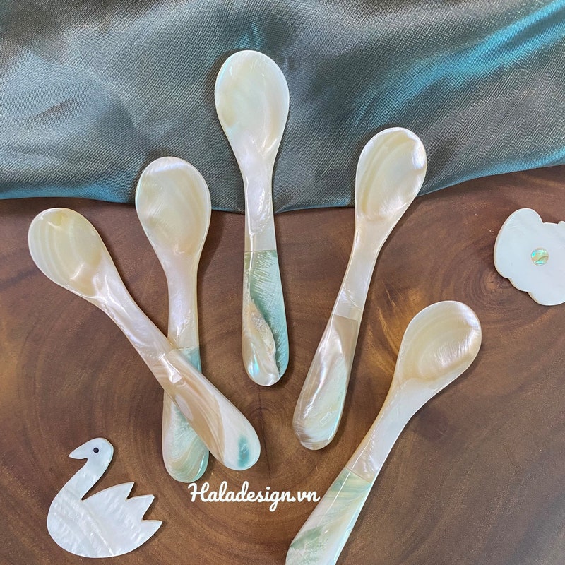 Engraved Shell - Etsy