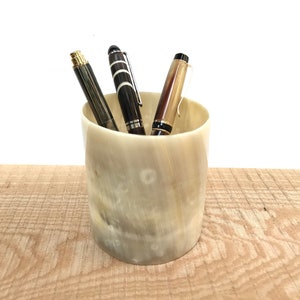 Op de afbeelding: Een hoornen pennenhouder met drie pennen erin. De houder is lichtbeige van kleur met een gevlekt patroon. De pennen zijn zwart, bruin en wit.