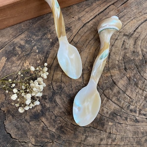 May include: Two white mother of pearl spoons with a shell design on the handle. The spoons are on a wooden surface.