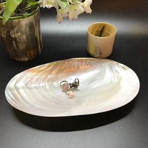 Decorative Giant Shell Dish, Mother of Pearl Dish Seashell Dish , Catchall Shell Dish ,Coastal Home Decor ,Living Room, Beach Bathroom Decor