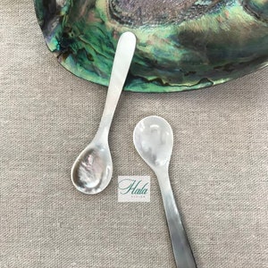 CLEARANCE SALE : Oyster Caviar Spoon L = 8cm , Black Oyster Spoon, Mother of pearl spoon, Black Caviar Set, Caviar Set , Shell Spoon